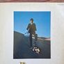 Vinyl Pink Floyd Wish You Were Here Image 2