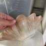 Dish clamshell bowl Image 2