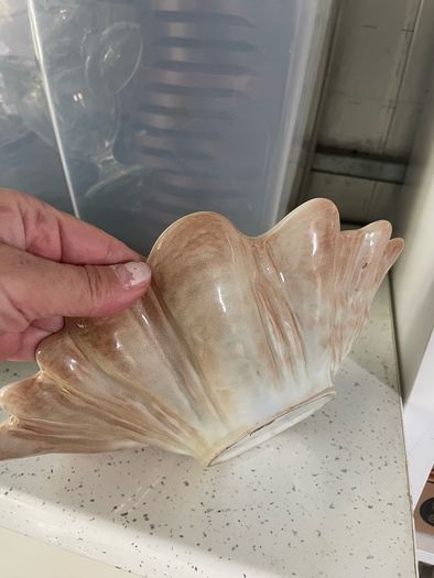 Dish clamshell bowl