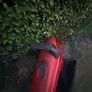 leaf blower Image 6