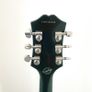Epiphone Wildkat Bigsby ( Limited edition) Image 4