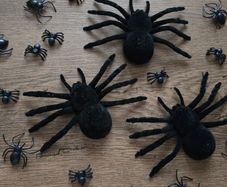 Several black spiders
