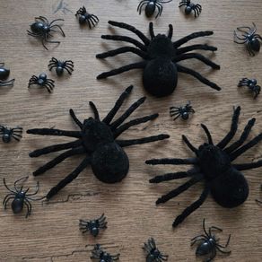 Several black spiders