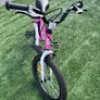 Kids Image 4