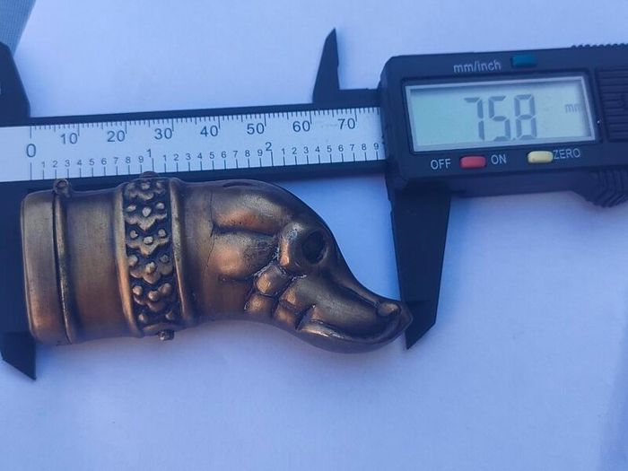 Large Brass Dog Vesta case