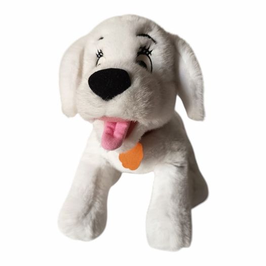 Cute White Puppy Dog
