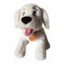 Cute White Puppy Dog Image 2