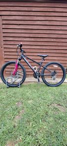 Girls Carrera Bike