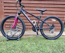 Girls Carrera Bike