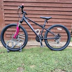 Girls Carrera Bike