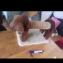 Cat or small dog carry box plus cat toy Image 5