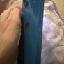 iPhone 13 128gb Image 2