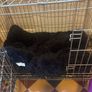 Dog crate Image 3