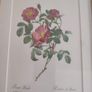 Framed Tripl Photo Of Roses Prints Image 6