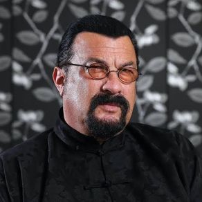 Steven Seagal 18 Dvd Bundle (14 Still Sealed)