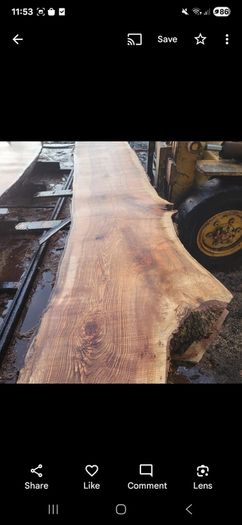 hardwood