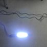 Inspection Lamp - 250 Volts Image 3