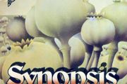 Synopsis  - self titled 1986 vinyl LP