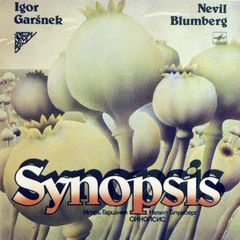 Synopsis  - self titled 1986 vinyl LP