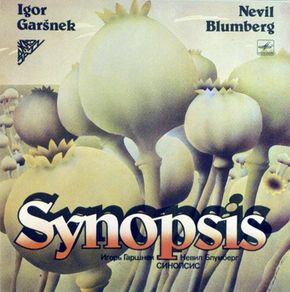 Synopsis  - self titled 1986 vinyl LP