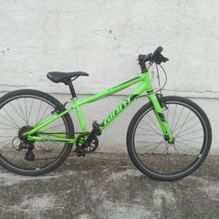 Giant ARX, 24" inch, ready to go, good condition.