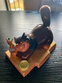 Cinderellas Cat