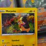 Morpeko ! Promo from Sword & Shield Era ! 2021 ! Pokemon Card ! Image 2