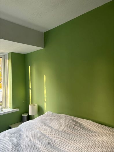 Professional Painting & Handyman Service - Dublin