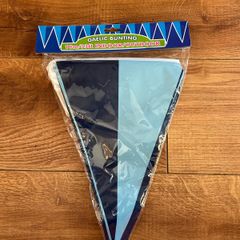 FREE - Dublin GAA bunting