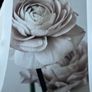 Desenio artwork print sets Image 10