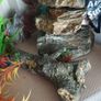 fish accessories Image 3