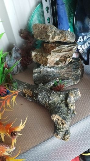fish accessories