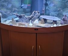 Corner Fish Tank for sale