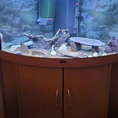 Corner Fish Tank for sale