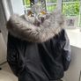 tommy hilfiger coat Image 5