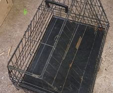 Dog Cage