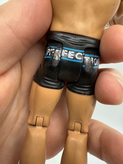 wwe Dolph Ziggler action figure