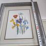 Framed Wildflower Print - Floral Instant Art - Botanical Art- Spring Flowers Image 2