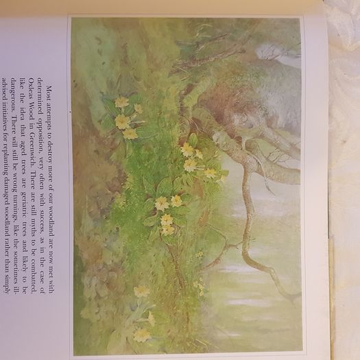 Beningfields Woodlands. Beautiful paintings by Gordan Beningfield of woodland and it birds and animals.