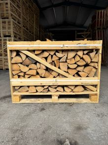 kiln dried logs (Ash)