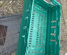 Large storage crates