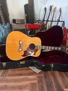 Gibson Dove
