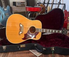 Gibson Dove