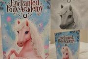 Enchanted Pony Academy Children,s Story Book
