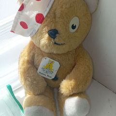 pudsey bear children in need bear