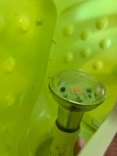 Bed lamp for Children