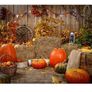 Allenjoy 7 x 5ft photo studio background, Autumn pumpkin, wood wall, hay barn, child backdrop Image 4
