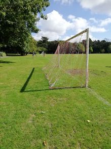 Team Sports Sports