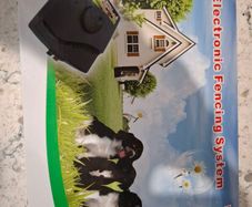 Electronic dog fence