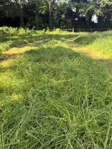 Hay and Haylage
